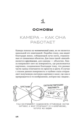 Базовый курс: Операторское искусство. Учимся снимать на плёнку и цифру — фото, ISBN 9785041747848