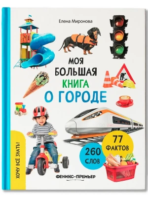 Моя большая книга о городе — фото, ISBN 9785222453414