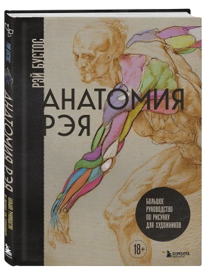 Анатомия Рэя. Большое руководство по рисунку для художников- купить в магазине Кассандра, фото, 9785042079870, 