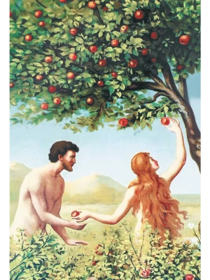 Импортировано из Wildberries