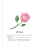 Импортировано из Wildberries Импортировано из Wildberries
