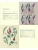 Импортировано из Wildberries Импортировано из Wildberries