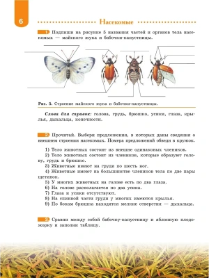 Импортировано из Wildberries