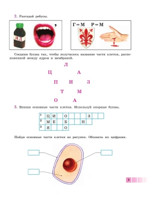 Импортировано из Wildberries