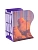  /  3 . LOREX BOOKLOVER HANGING CLOUDS   -    , , 4602723158004, 