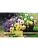 .500.Premium Legend Art Series   48*33, ,  -    , , 4606782416006, 