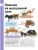 Импортировано из Wildberries Импортировано из Wildberries