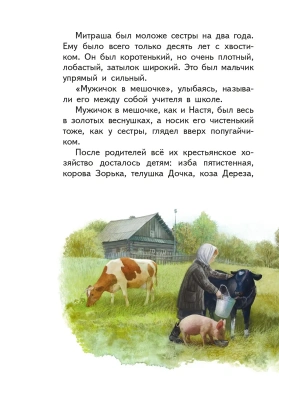 Импортировано из Wildberries