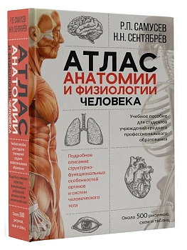 Атлас анатомии и физиологии человека. Учебное пособие для студентов учреждений среднего профессионал - купить в магазине Кассандра, фото, 9785171225872, 