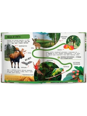 Импортировано из Wildberries