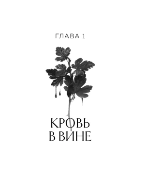 Фотография из отзыва покупателя