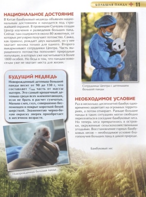 Красная книга. Детская энциклопедия- купить в магазине Кассандра, фото, 9785353102922, 