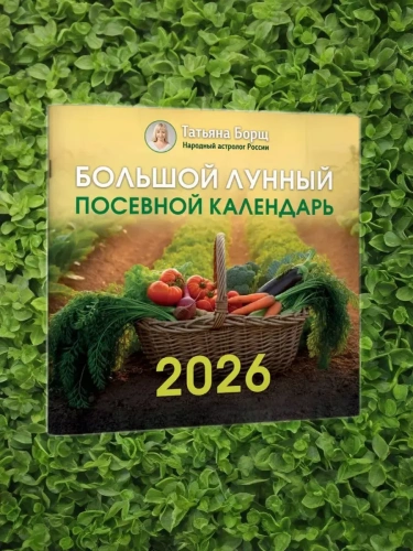 ��������� 2026. ������� ������ �������� ��������� �� 2026 ���- ������ � �������� ���������, ����, 9785171757335, 