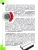 Импортировано из Wildberries Импортировано из Wildberries