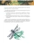 Импортировано из Wildberries Импортировано из Wildberries