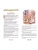 Импортировано из Wildberries Импортировано из Wildberries