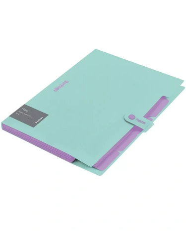 Папка 5 отд. Berlingo "Haze", А4, 600мкм, на кнопке, мятная, софт-тач- купить в магазине Кассандра, фото, 4260709080307, 