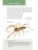 Импортировано из Wildberries Импортировано из Wildberries