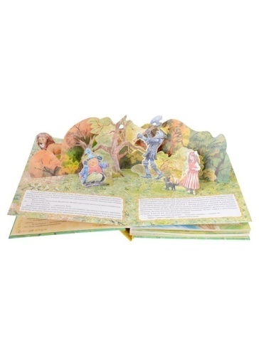 Волшебник Изумрудного города. Рисунки В. Челака- купить в магазине Кассандра, фото, 9785171118174, 