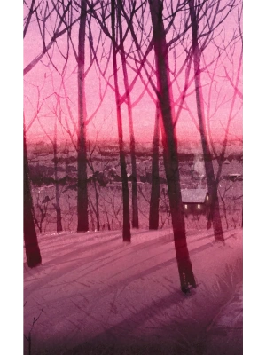 Импортировано из Wildberries
