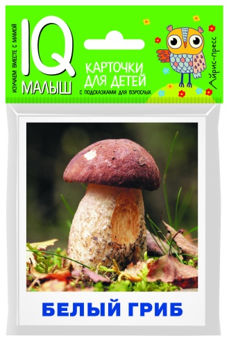 Умный малыш. Грибы наших лесов. Набор карточек для детей.- купить в магазине Кассандра, фото, 9785811277735, 