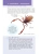 Импортировано из Wildberries Импортировано из Wildberries