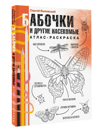 Бабочки и другие насекомые. Атлас-раскраска- купить в магазине Кассандра, фото, 9785171599416, 