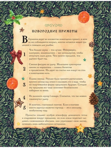 Вкусный новый год. Рецепты, кулинарные обычаи и традиции со всего света- купить в магазине Кассандра, фото, 9785042097614, 