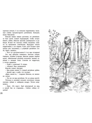 Импортировано из Wildberries