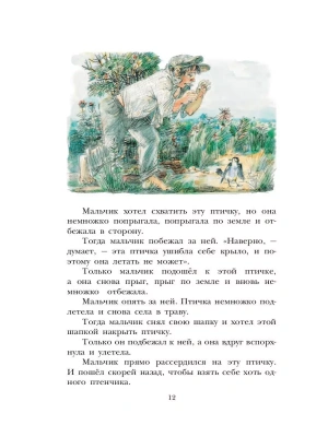 Импортировано из Wildberries
