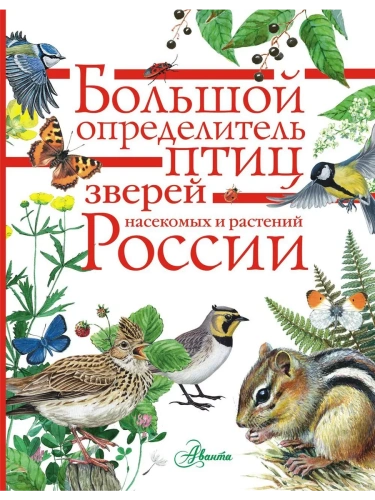 Большой определитель зверей, амфибий, рептилий, птиц, насекомых и растений России- купить в магазине Кассандра, фото, 9785171021528, 