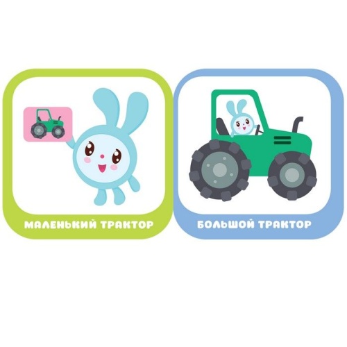 Малышарики.Курс раннего развития 0+. Большой, маленький- купить в магазине Кассандра, фото, 9785431514845, 