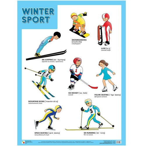 Плакаты (англ). Winter Sport (Зимние виды спорта)- купить в магазине Кассандра, фото, 9785431510076, 