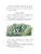 Импортировано из Wildberries Импортировано из Wildberries