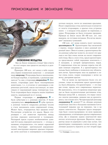 Полная энциклопедия.Птицы- купить в магазине Кассандра, фото, 9785699833405, 