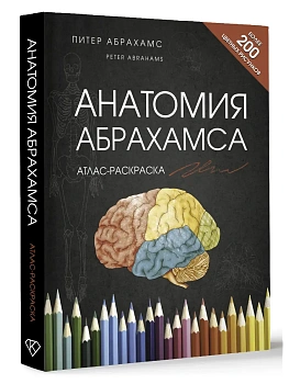 Анатомия Абрахамса. Атлас-раскраска — фото, ISBN 9785171700454