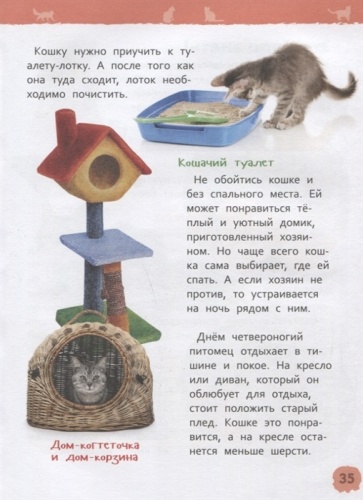 Кошки и котята (Энциклопедия для детского сада)- купить в магазине Кассандра, фото, 9785353087762, 