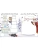 Импортировано из Wildberries Импортировано из Wildberries