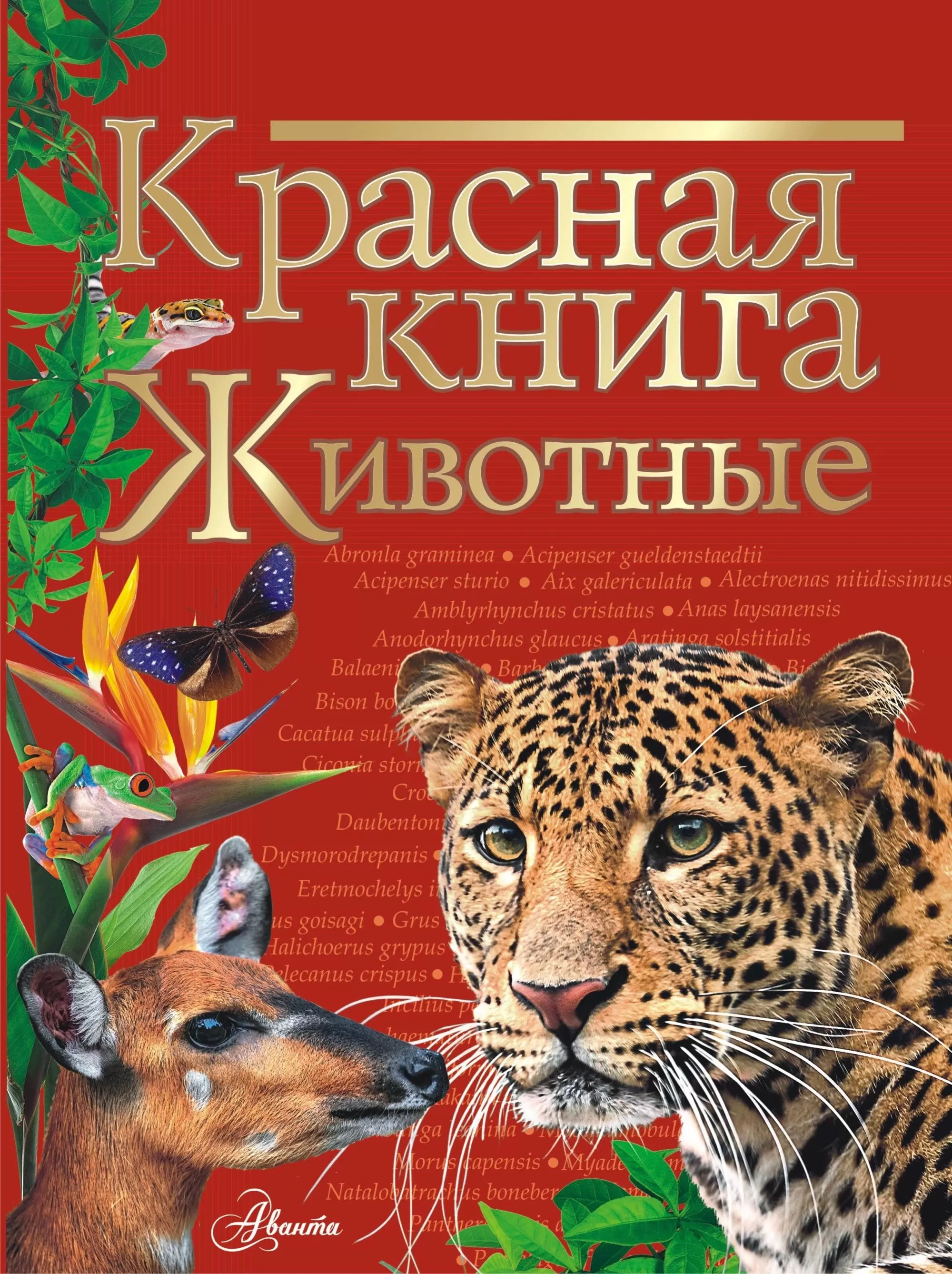Красная книга. Животные - купить в магазине Кассандра, фото, 9785171344245, 