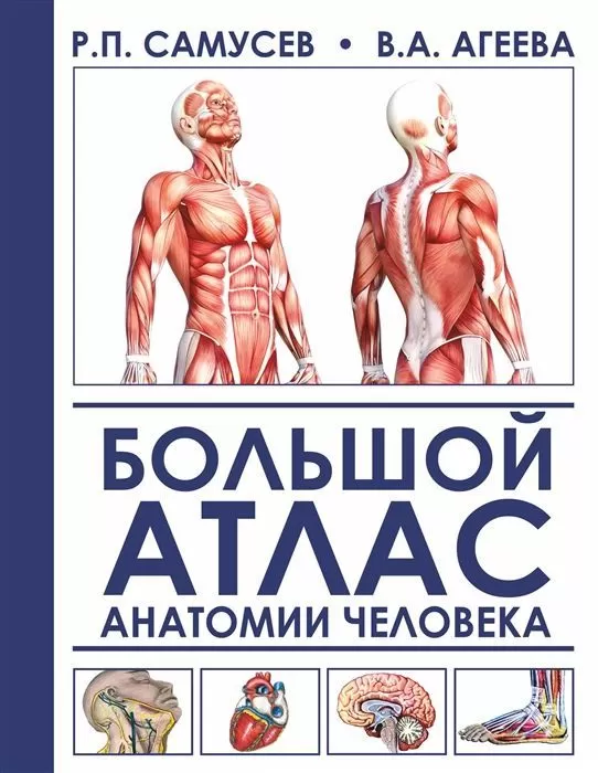 Большой атлас анатомии человека - купить в магазине Кассандра, фото, 9785171127930, 