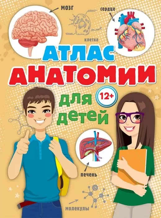 Атлас анатомии для детей - купить в магазине Кассандра, фото, 9785179826064, 