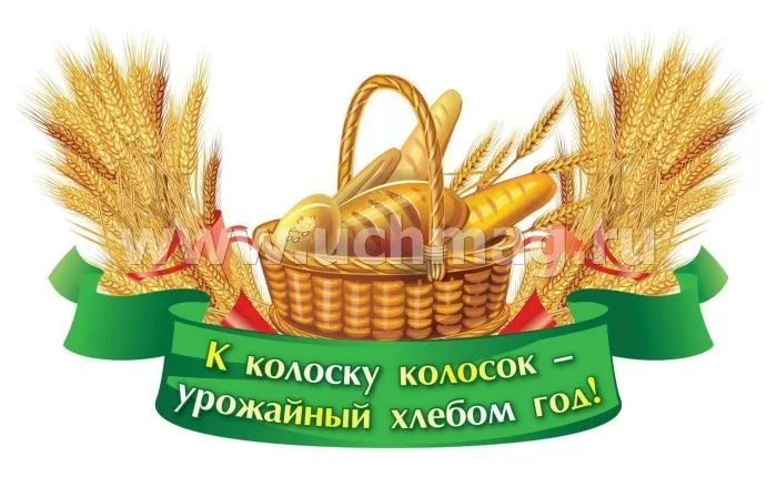 Плакат вырубной "Золотые хлебные колосья": 256х397 - купить в магазине Кассандра, фото, 4640018258503, 