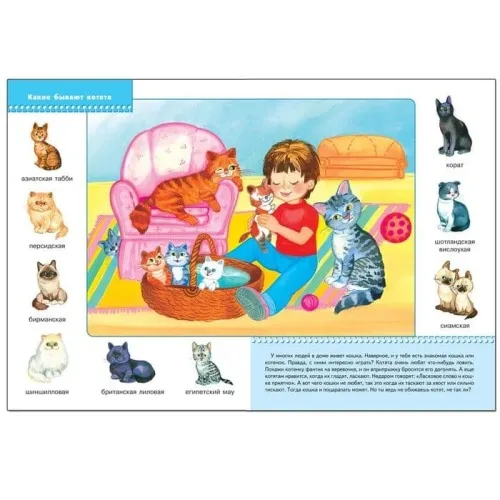 ШСГ.Третий год.2-3.Домашние питомцы- купить в магазине Кассандра, фото, 9785867752194, 